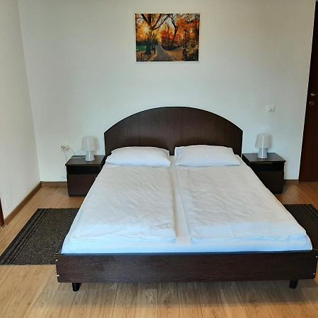 Vila Vanda Cluj Napoca Bagian luar foto