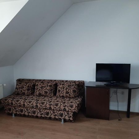 Vila Vanda Cluj Napoca Bagian luar foto