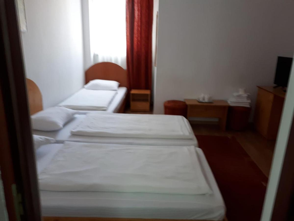 Vila Vanda Cluj Napoca Bagian luar foto