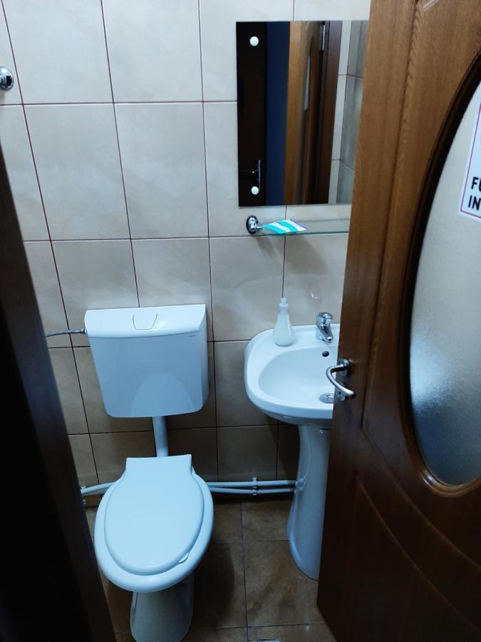 Vila Vanda Cluj Napoca Bagian luar foto