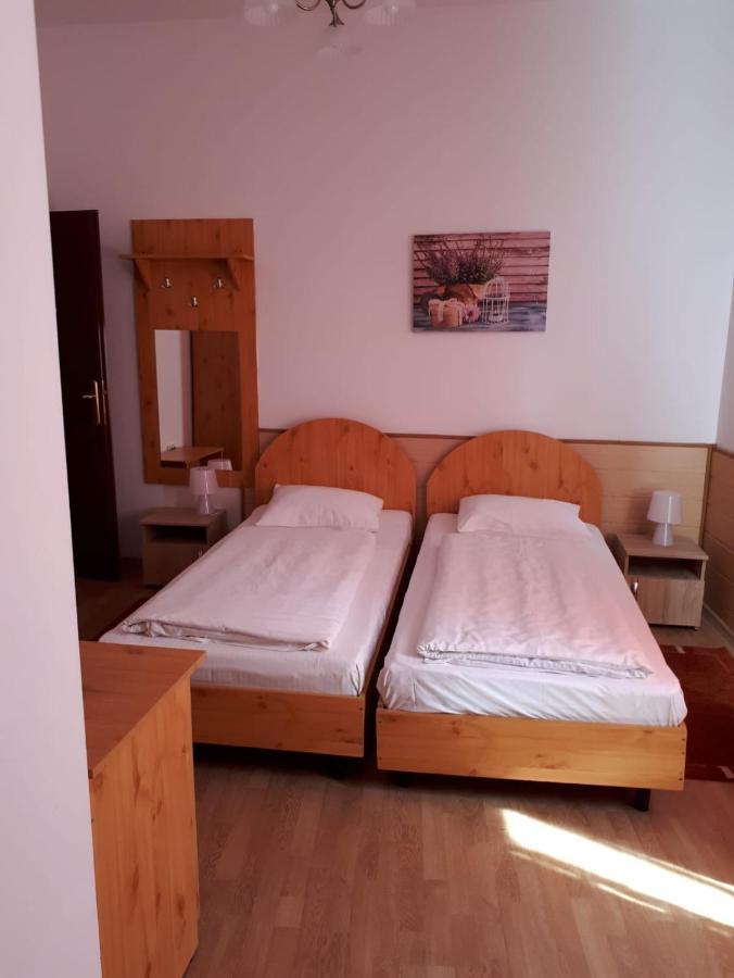 Vila Vanda Cluj Napoca Bagian luar foto