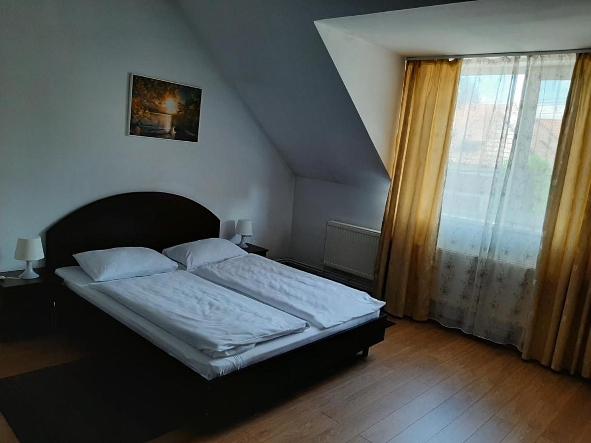 Vila Vanda Cluj Napoca Bagian luar foto