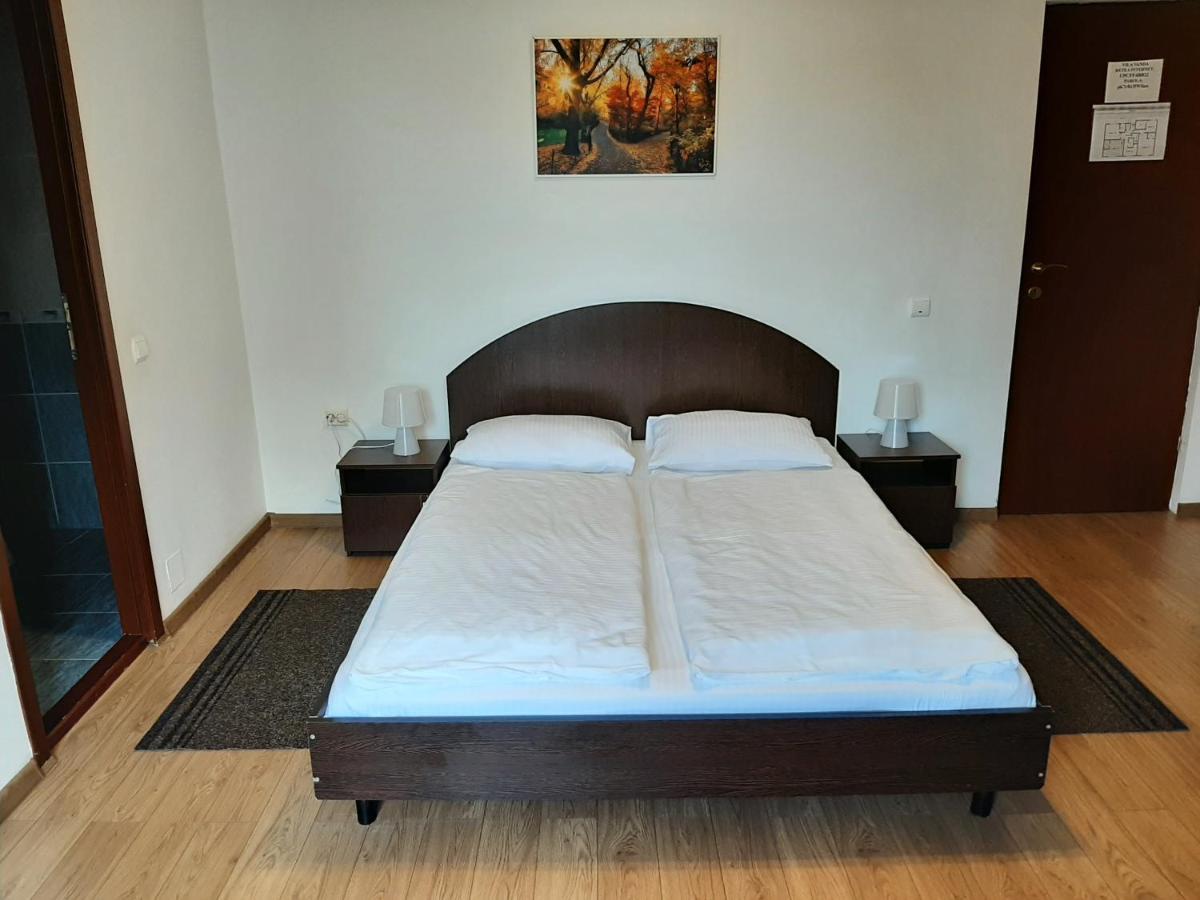 Vila Vanda Cluj Napoca Bagian luar foto