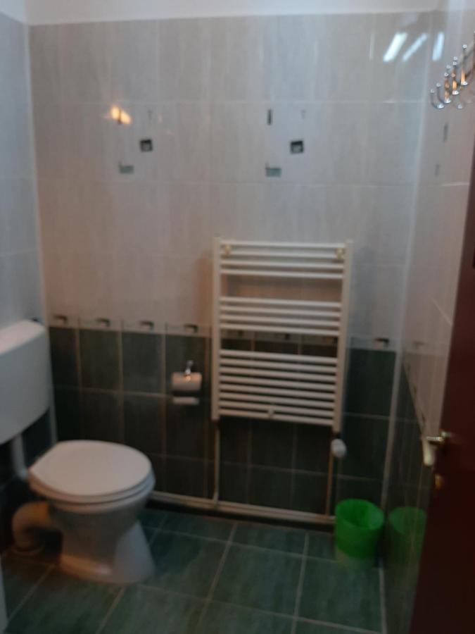Vila Vanda Cluj Napoca Bagian luar foto