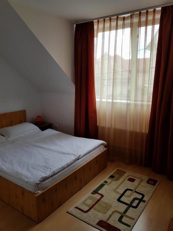 Vila Vanda Cluj Napoca Bagian luar foto